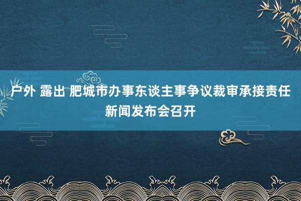 户外 露出 肥城市办事东谈主事争议裁审承接责任新闻发布会召开