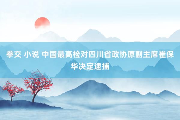 拳交 小说 中国最高检对四川省政协原副主席崔保华决定逮捕