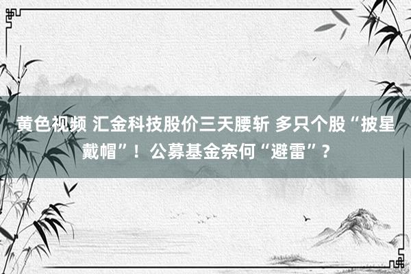 黄色视频 汇金科技股价三天腰斩 多只个股“披星戴帽”！公募基金奈何“避雷”？
