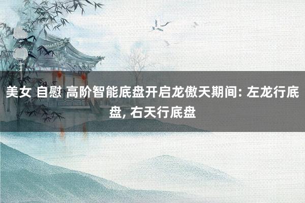 美女 自慰 高阶智能底盘开启龙傲天期间: 左龙行底盘, 右天行底盘