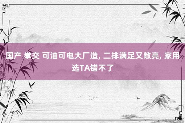 国产 拳交 可油可电大厂造, 二排满足又敞亮, 家用选TA错不了