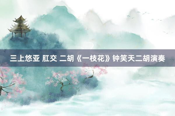 三上悠亚 肛交 二胡《一枝花》钟笑天二胡演奏