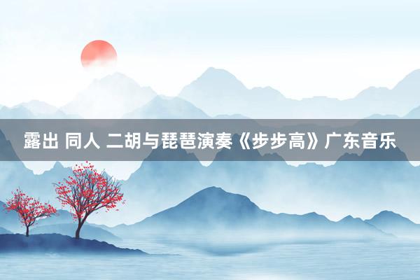露出 同人 二胡与琵琶演奏《步步高》广东音乐