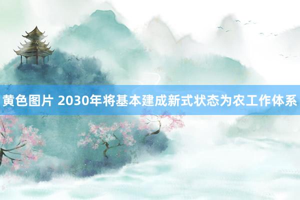 黄色图片 2030年将基本建成新式状态为农工作体系