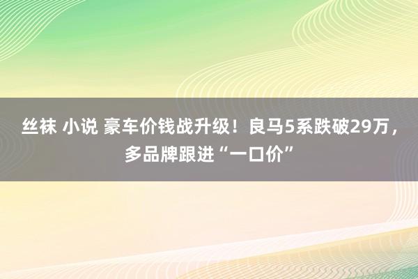 丝袜 小说 豪车价钱战升级！良马5系跌破29万，多品牌跟进“一口价”