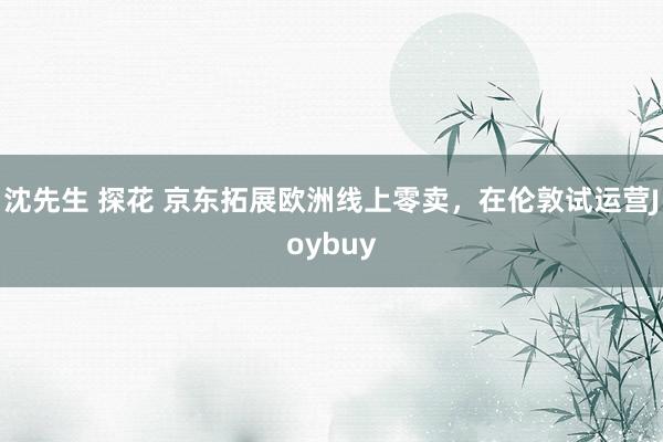 沈先生 探花 京东拓展欧洲线上零卖，在伦敦试运营Joybuy