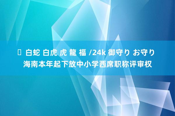 ✨白蛇 白虎 虎 龍 福 /24k 御守り お守り 海南本年起下放中小学西席职称评审权