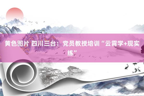 黄色图片 四川三台：党员教授培训“云霄学+现实练”