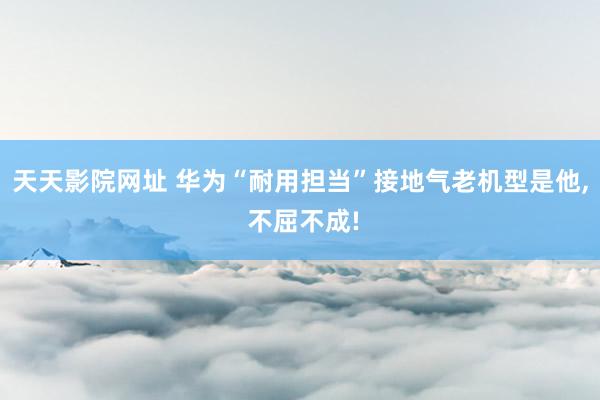 天天影院网址 华为“耐用担当”接地气老机型是他, 不屈不成!