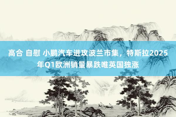 高合 自慰 小鹏汽车进攻波兰市集，特斯拉2025年Q1欧洲销量暴跌唯英国独涨
