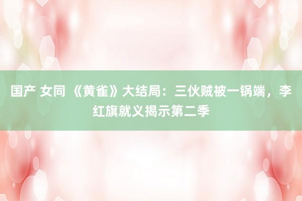 国产 女同 《黄雀》大结局：三伙贼被一锅端，李红旗就义揭示第二季