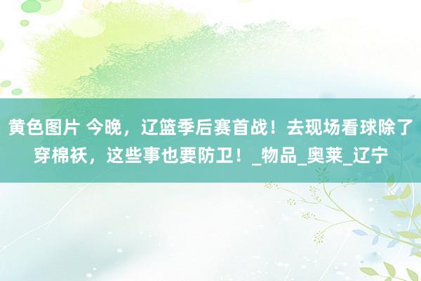 黄色图片 今晚，辽篮季后赛首战！去现场看球除了穿棉袄，这些事也要防卫！_物品_奥莱_辽宁