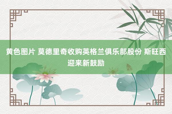 黄色图片 莫德里奇收购英格兰俱乐部股份 斯旺西迎来新鼓励
