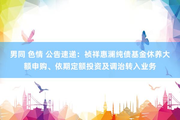 男同 色情 公告速递：祯祥惠澜纯债基金休养大额申购、依期定额投资及调治转入业务