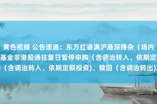 黄色视频 公告速递：东方红睿满沪港深搀杂（场内简称：东方红睿满LOF)基金非港股通往复日暂停申购（含