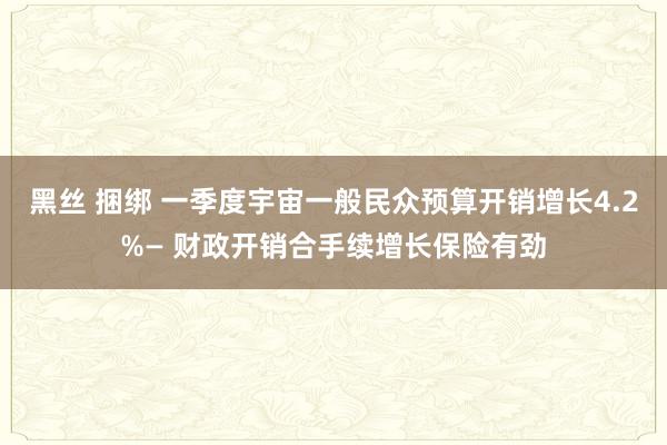 黑丝 捆绑 一季度宇宙一般民众预算开销增长4.2%— 财政开销合手续增长保险有劲