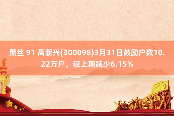 黑丝 91 高新兴(300098)3月31日鼓励户数10.22万户，较上期减少6.15%