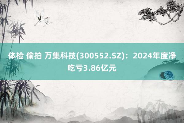 体检 偷拍 万集科技(300552.SZ)：2024年度净吃亏3.86亿元