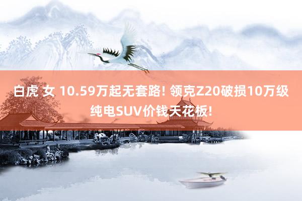 白虎 女 10.59万起无套路! 领克Z20破损10万级纯电SUV价钱天花板!