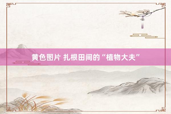 黄色图片 扎根田间的“植物大夫”