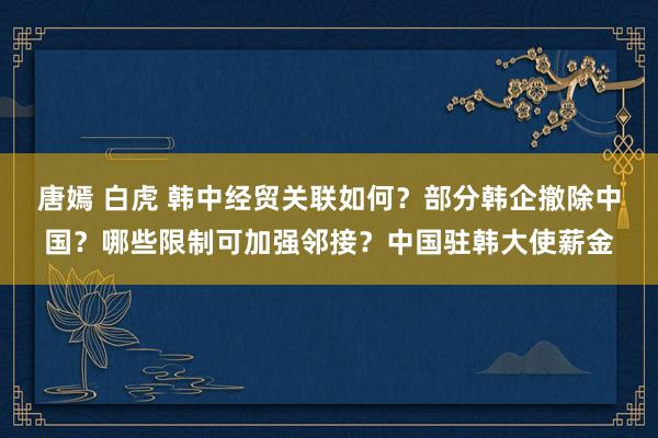 唐嫣 白虎 韩中经贸关联如何？部分韩企撤除中国？哪些限制可加强邻接？中国驻韩大使薪金
