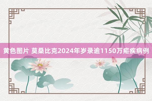 黄色图片 莫桑比克2024年岁录逾1150万疟疾病例