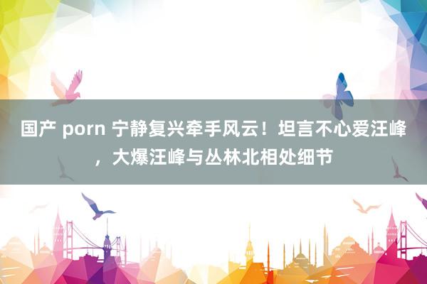 国产 porn 宁静复兴牵手风云！坦言不心爱汪峰，大爆汪峰与丛林北相处细节